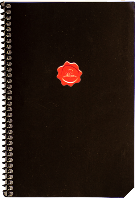 Journal Coaching