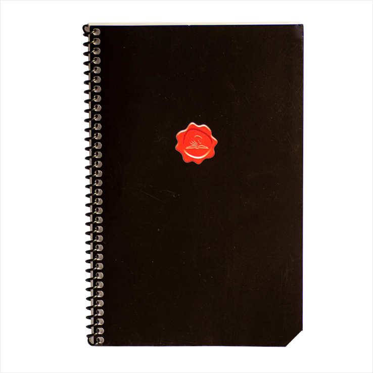 Journal Coaching