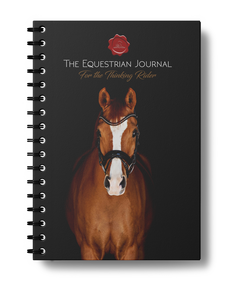 CLASSIC | Dressage Cover
